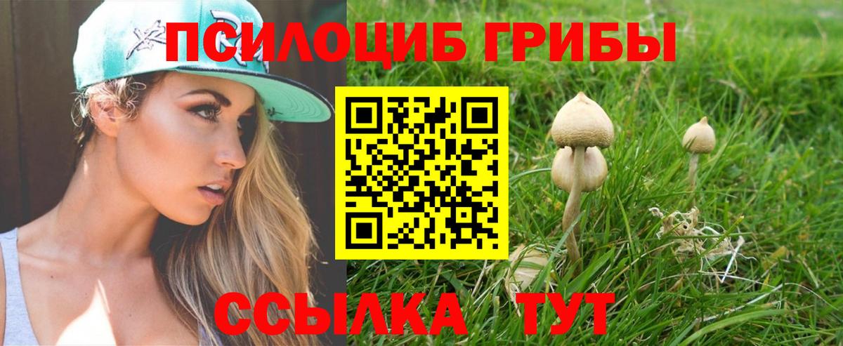 Воскресенск  Псилоцибиновые грибы Psilocybe  Вход с VPN 